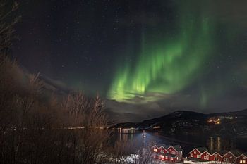 Discover Northern Lights Dancing Over Narvik's Winter Night, Nor