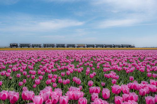 Museumstoomtram Medemblik-Hoorn Noord-Holland
