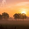 Sonnenaufgang in Twente | Gold, Gelb und Schwarz von Wandeldingen
