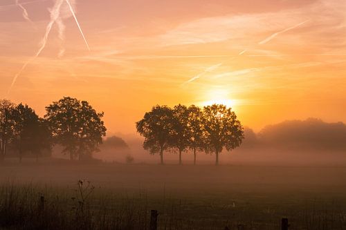 Lever de soleil à Twente | or, jaune et noir