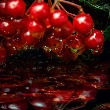 sprankelende druppels - rode vruchtjes van Christine Nöhmeier
