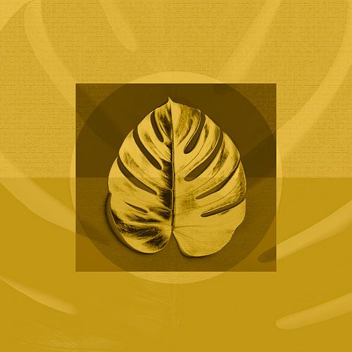 Feuille de monstera