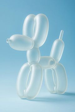 Transparante Ballonhond van But First Framing
