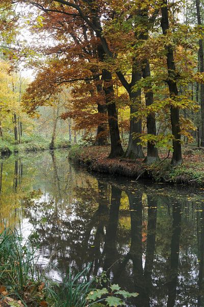 Herbstlicher Spreewald von Thomas Jäger