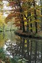 Herbstlicher Spreewald von Thomas Jäger Miniaturansicht