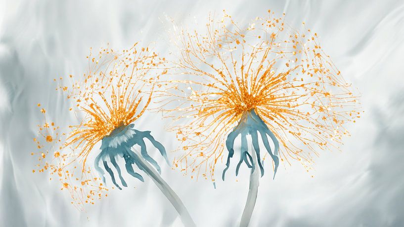 Pusteblumen - Blühende Pusteblumen mit Goldakzenten von Studio Pieternel