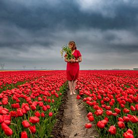 Tulpenmeisje van Angela Stouten