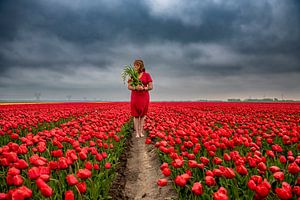 Tulpenmädchen von Angela Stouten