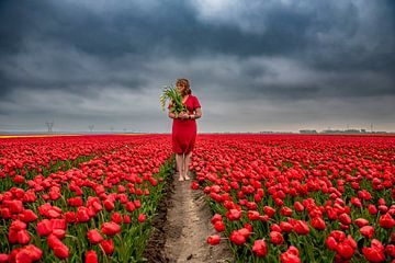 Tulpenmeisje van Angela Stouten