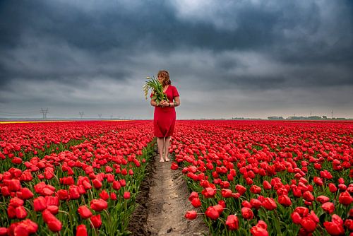 Tulip Girl