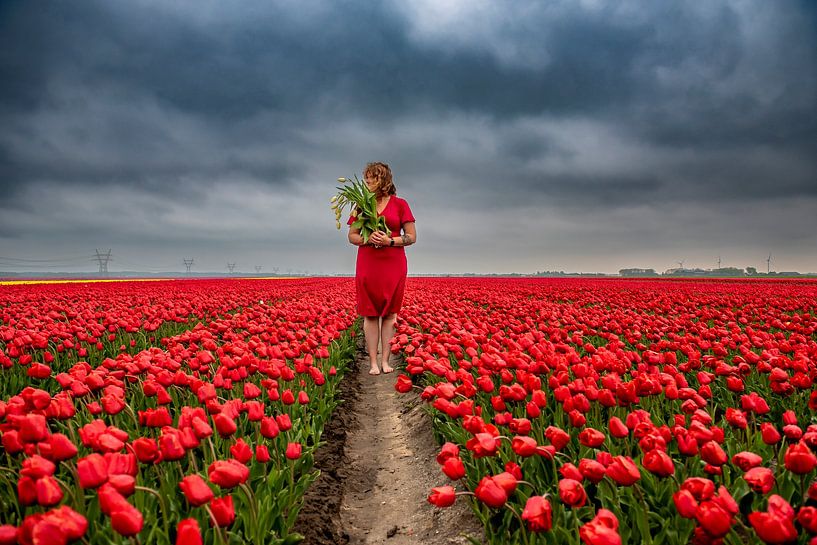 Tulpenmädchen von Angela Stouten
