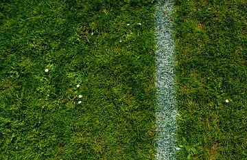 Voetballen en gras van Tim Briers