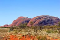 Outback Australië van Inge Hogenbijl thumbnail