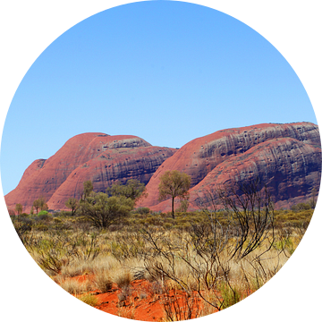 Outback Australië van Inge Hogenbijl