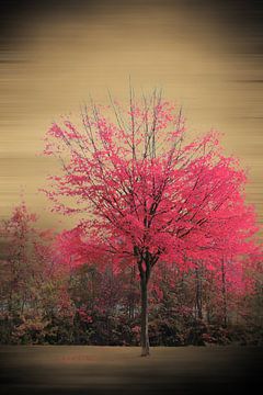 Pink Tree van Markus Wegner