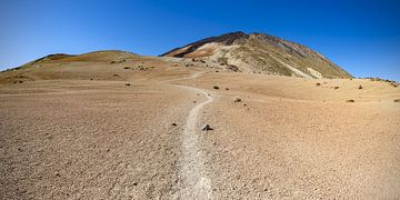 Wandelpad in het vulkaanlandschap van het Nationaal Park El Teide van Walter G. Allgöwer