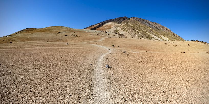 Hiking trail in the volcanic landscape of El Teide National Park by Walter G. Allgöwer