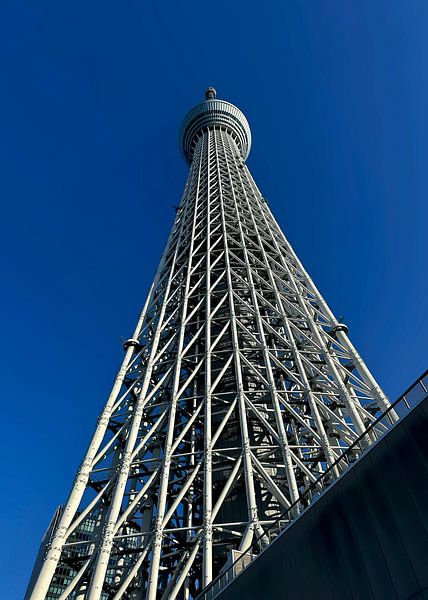 Vue sur le Skytree par Rizal Azhari