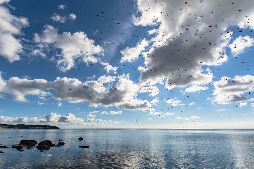 Schwalben am Himmel, Naturstrand Lobbe von GH Foto & Artdesign