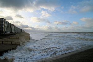 Storm aan zee van Johan Töpke