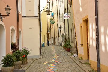 Kleurrijke straat Passau van Lisanne Wouters