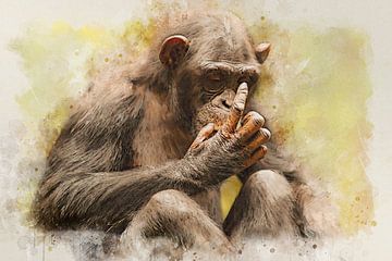 chimpanzéChimpanzé sur Bert Quaedvlieg