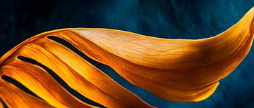 Gouden bladstructuur van Poster Art Shop