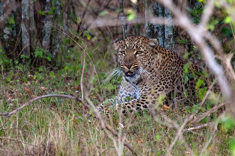 Abwarten von Peter Michel