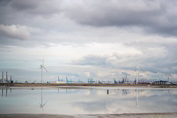 Uitzicht over de haven bij Maasvlakte Rotterdam 1 van Kok and Kok