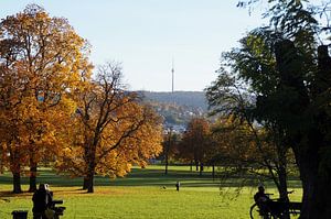 Walk in autumnal park van Yven Dienst