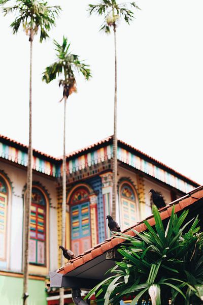 Singapur | Klein-Indien von Manoëlle Maijs