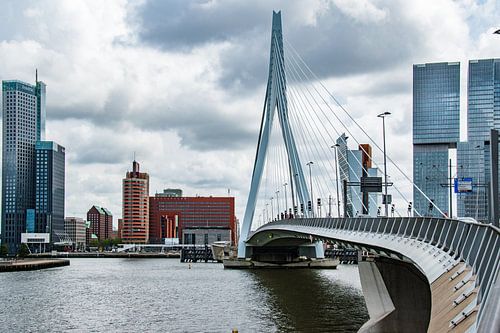 Beautiful Rotterdam