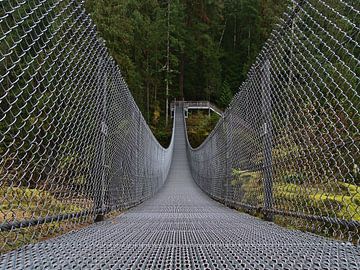 The suspension bridge by Timon Schneider
