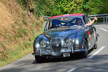 Jaguar 3.8 S Quenn at the Eggberg Classic 2023 - Start 84