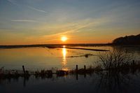 Evening sun