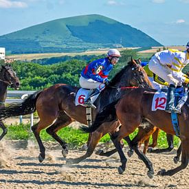 Course de chevaux pour le prix du Grand Été à Pyatigorsk sur Mikhail Pogosov