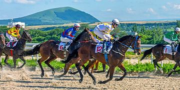 Paardenrace voor de prijs van Big Summer in Pjatigorsk van Mikhail Pogosov