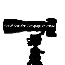Detlef Schöler Fotografie photo de profil