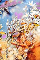 Art floral