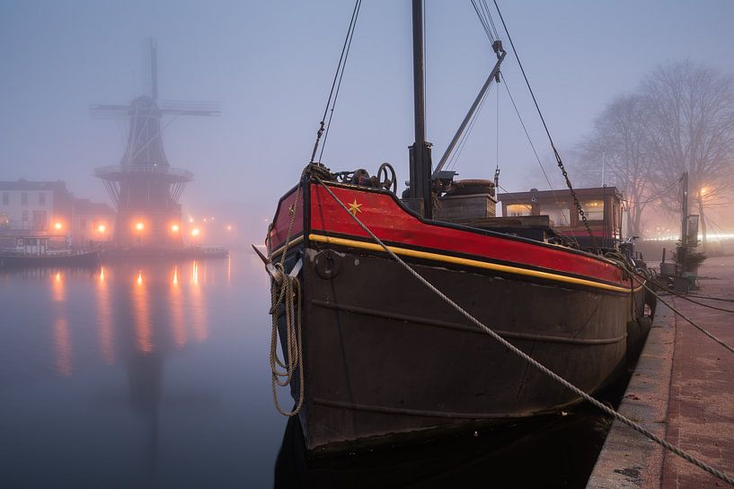 In the mist by Scott McQuaide