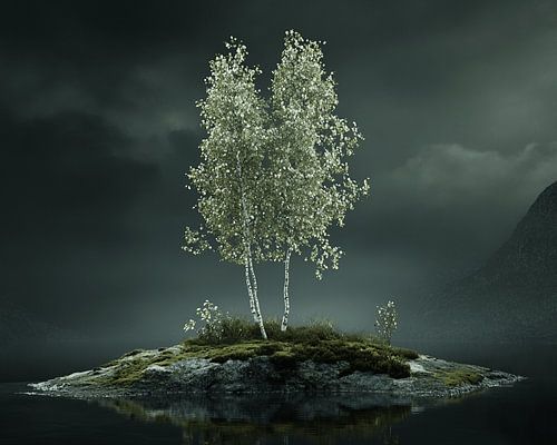 Birches in the Soft Light of the Moon