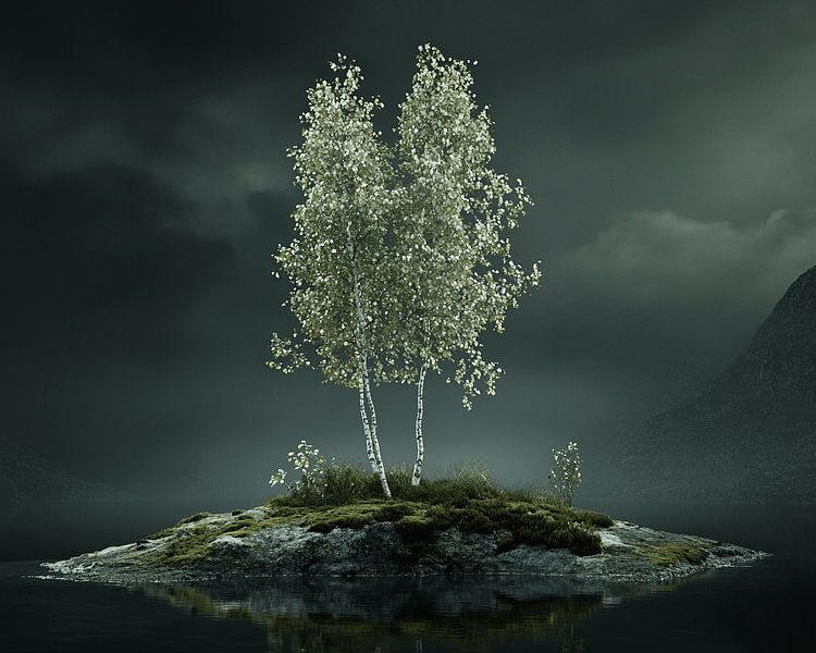 Bouleaux dans la douce lumière de la lune par Karina Brouwer