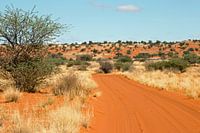 Road through the Kalahari-2