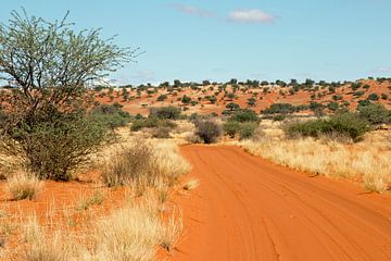 Straße durch die Kalahari-2 van Britta Kärcher