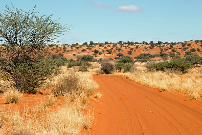 Road through the Kalahari-2 by Britta Kärcher