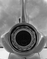 US-AirForce FC-032 Zwart-Wit Portret Achterkant