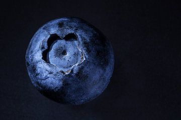 planet blueberry van Margit Houtman