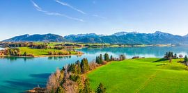 Forggensee met bergen