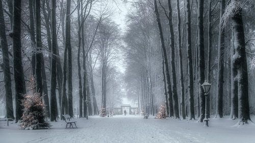 Les jours sombres avant Noël