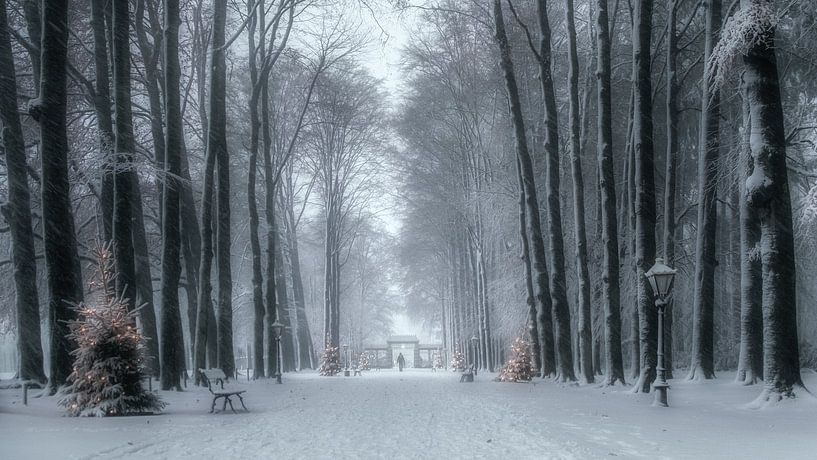 Dunkle Tage vor Weihnachten von Niels Barto